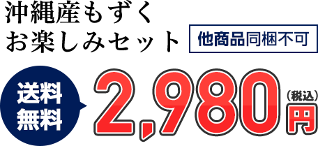 【送料無料】お楽しみセット 2,980円 他商品同梱不可/のし対応可能