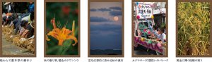 沖縄の四季彩美〜秋の色〜