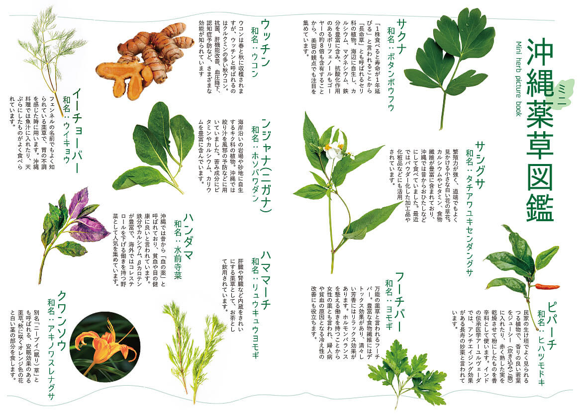 沖縄薬草パラダイス | 萬寿のしずく公式ネットショップ