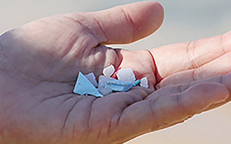 砂浜にある小さなプラスチックゴミを拾うことも提唱しています