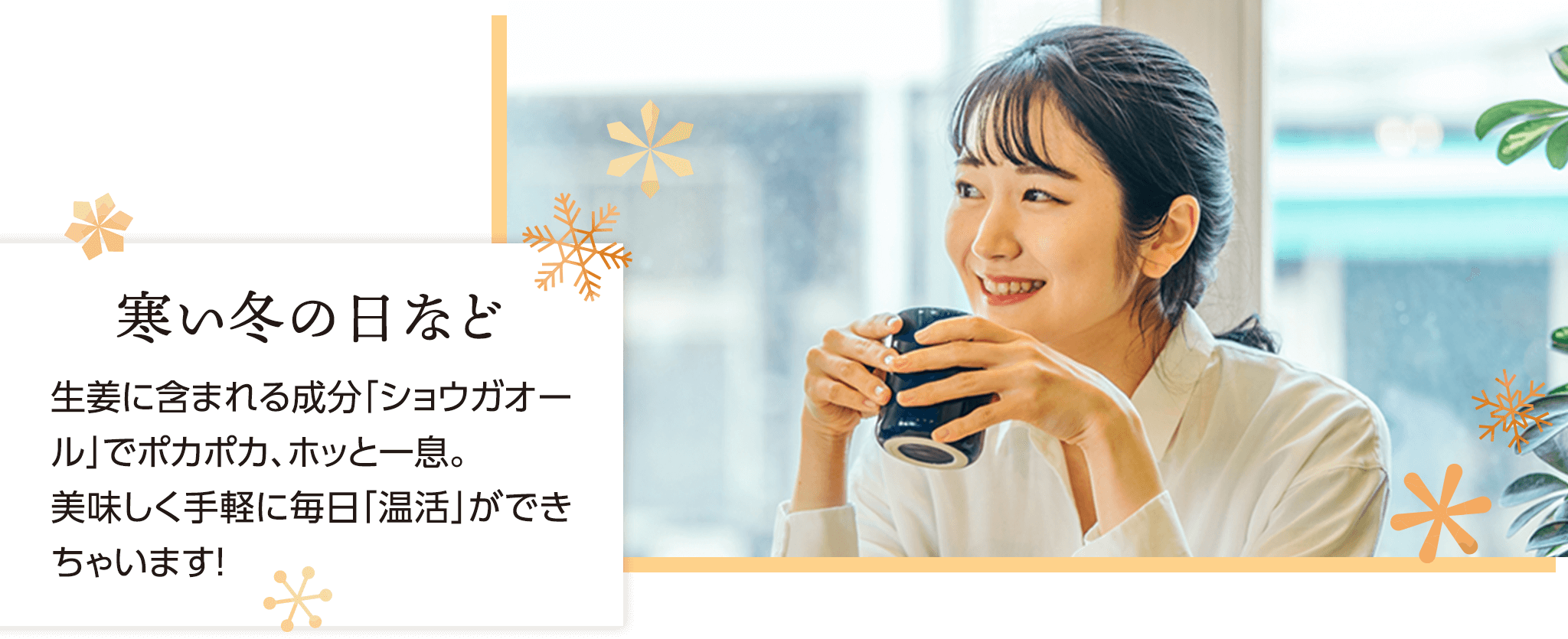 寒い冬の日など