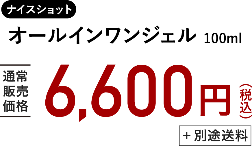 通常価格¥6,600(税込)