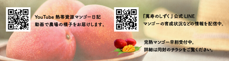 マンゴーのQRコード