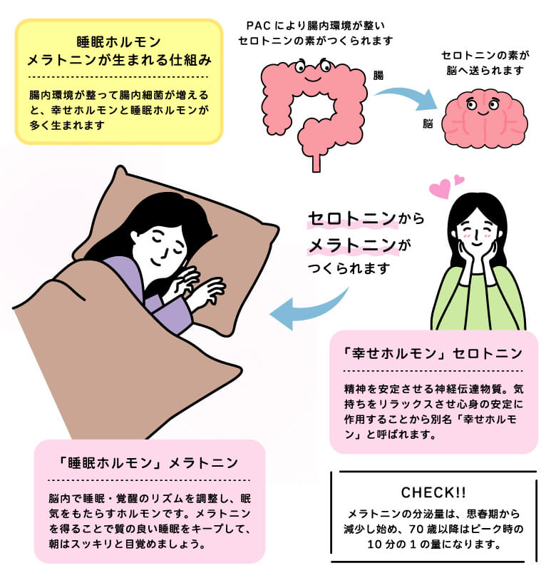 睡眠ホルモンが増えるからです