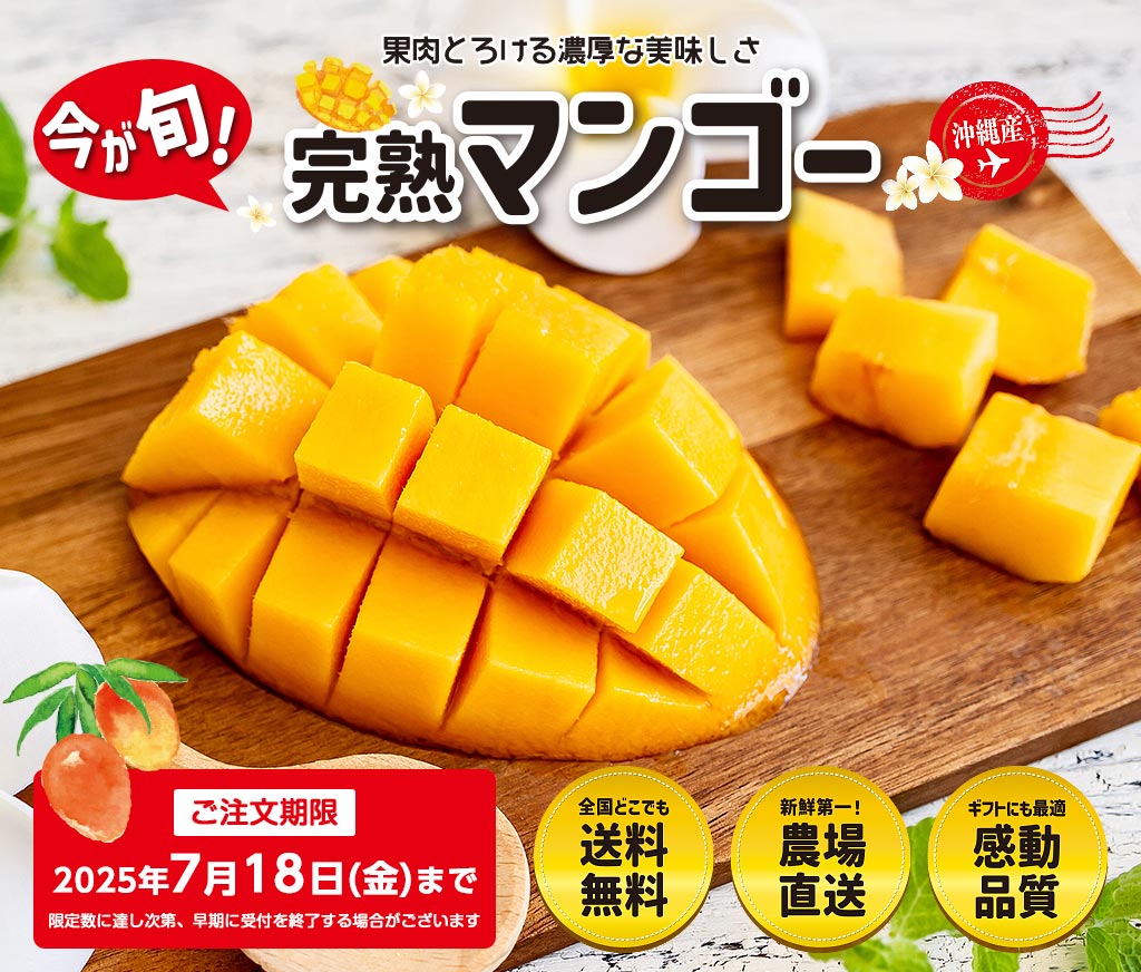 完熟マンゴー 沖縄県産マンゴー 産地直送 送料無料