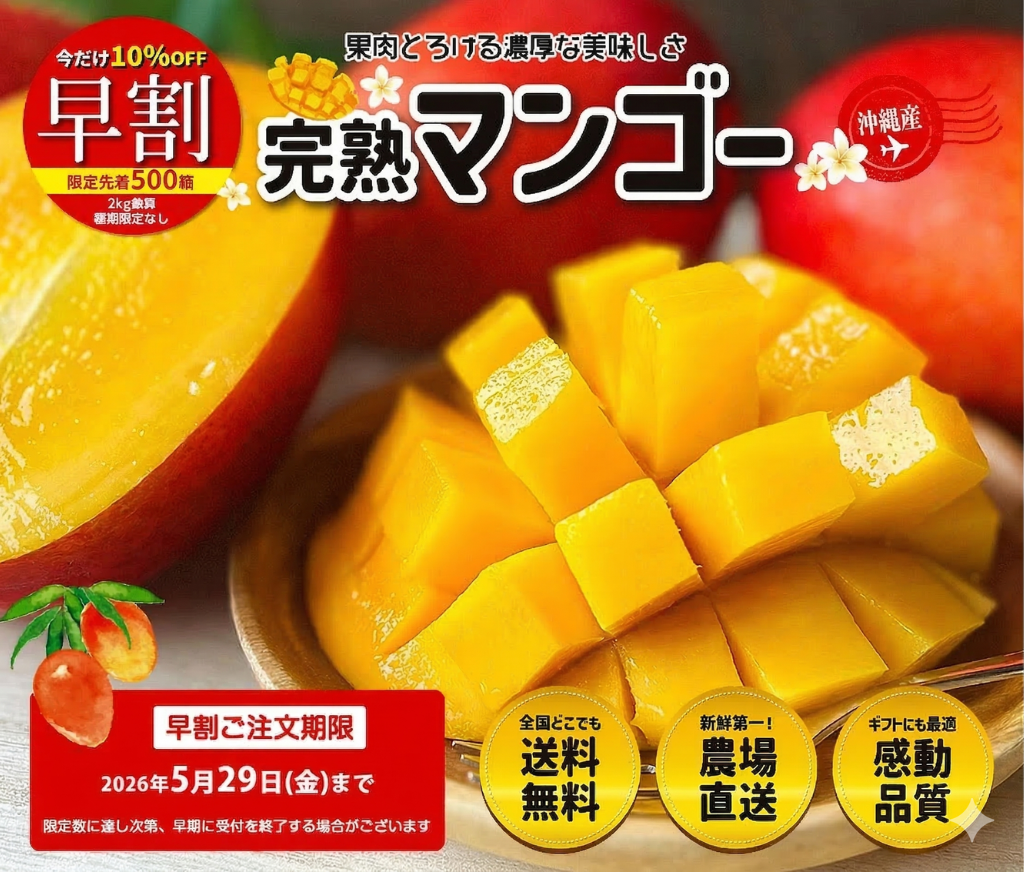 早割 完熟マンゴー 沖縄県産マンゴー 産地直送 送料無料